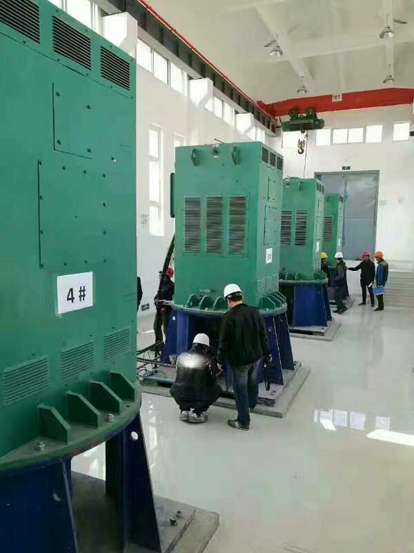 南宝镇某污水处理厂使用我厂的立式高压电机安装现场